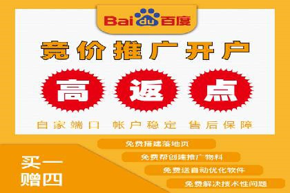 百度竞价案例：品牌推广实战